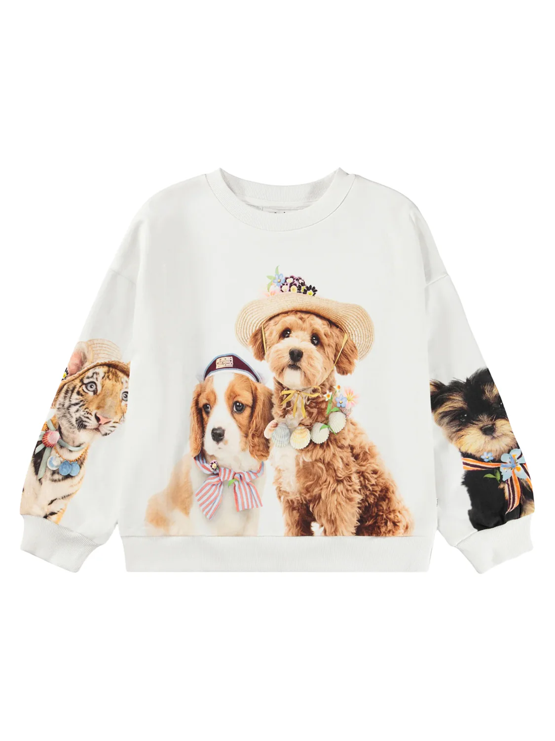 Molo Kinder Pullover & Strickjacken